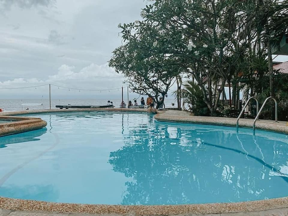 Marina Village Moalboal Buitenkant foto